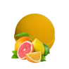 Citrus